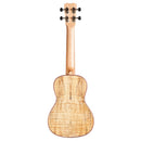 Cordoba 24S Soprano Ukulele w/ Gig Bag