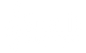 Volaris Music