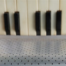 Junior Accordion (Marble Green)