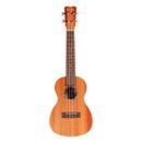 Cordoba Protege U1 Concert Ukulele - All Mahogany