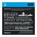 D'Addario EXL170 Nickel Wound Bass, Light, 45-100, Long Scale