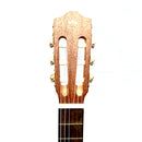 Protege by Cordoba C1M-CET Thinline Classical Guitar w/ Pickup