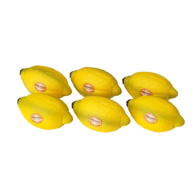 Remo SC Fruit Shakers - Choose Your Favourite Fruit