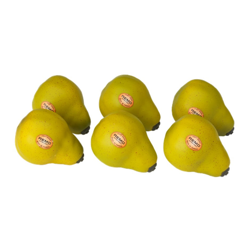 Remo SC Fruit Shakers - Choose Your Favourite Fruit