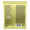 Ernie Ball 2214 Mammoth Slinky 12-62