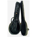 Mythos MV3-6P 6 String Bouzouki