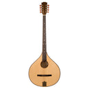 Concert Irish Bouzouki