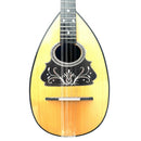 Roundback Mandolin - Made in Greece *S/H*