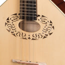Octave Mandolin