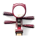 Pipa - Traditional Chinese Instrument