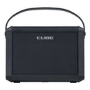 Roland Cube Street Mini - Battery Powered