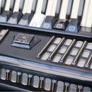 Baile Accordion (Black)