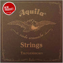 Aqulia Thunderbrown 4-String Bass Ukulele String Set