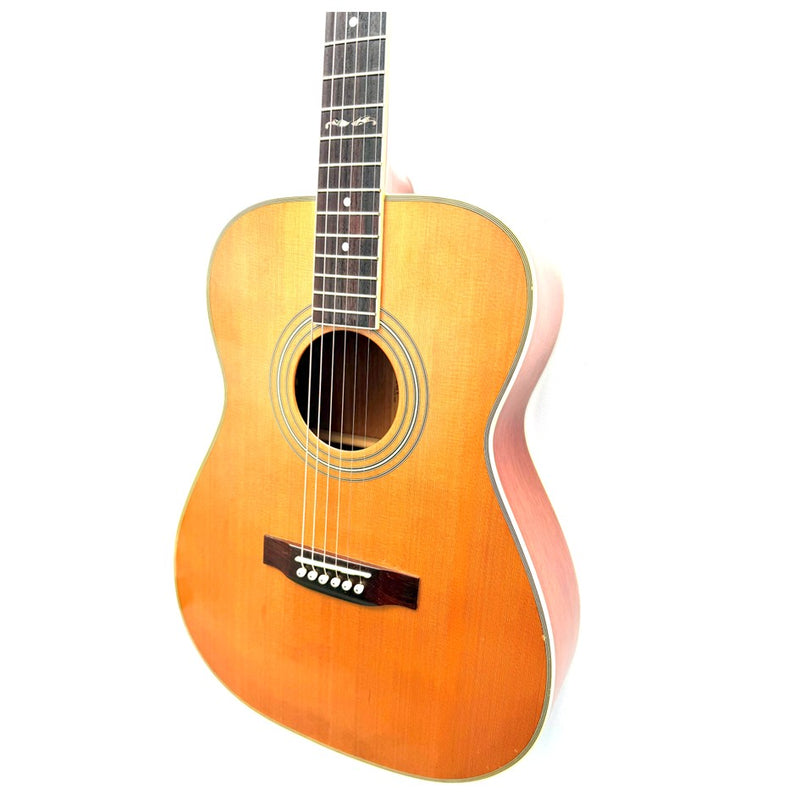 Cort Earth 200GC - Made in Korea s/h