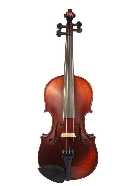 Gliga Vasile Professional 5 Violin - 4/4