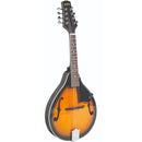 Bryden SMA10 Mandolin