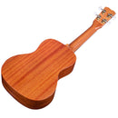 Cordoba 20CM Solid Mahogany Concert Ukulele w/ Gig Bag