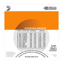D'Addario EJ41 12 String Acoustic Set - Bronze, Light, 9-45
