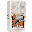 Electro Harmonix Canyon Delay & Looper Pedal