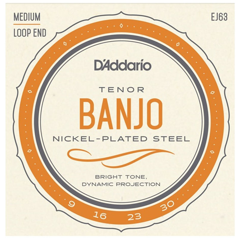 D'Addario EJ63 Tenor Banjo Strings (Loop End) - Medium