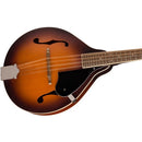 Fender PM-180E Mandolin w/Fishman Pickup - Aged Cognac Burst