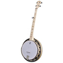 Deering Goodtime 2 5 String Banjo with Resonator