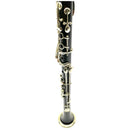 Hammerschmidt  Albert System Clarinet - B flat
