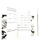 Doumberleki / Darambuka and it's Rhythms