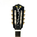 Mythos MV5  8 String Bouzouki w/ case