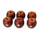 Remo SC Fruit Shakers - Choose Your Favourite Fruit