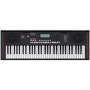 Roland E-X10 Portable Arranger Keyboard w/ Speaker System & Battery Powered Operation