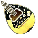 Tsolis Professional Bouzouki - Χιωτης / Chiotis Design