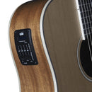 Tanglewood Winterleaf TW10 Dreadnaught Size Acoustic / Electric Guitar