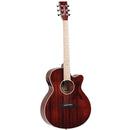 Tanglewood TW4BLB Winterleaf SFCE - Barossa Blonde Gloss